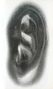 NOME ARNALDO ANTUNES 04