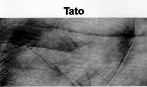 NOME ARNALDO ANTUNES 08