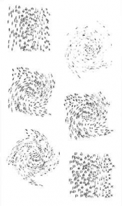 NOME ARNALDO ANTUNES 10